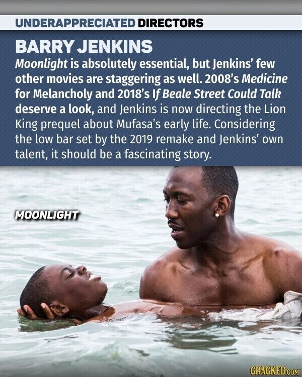 UNDERAPPRECIATED DIRECTORS BARRY JENKINS Moonlight is absolutely essential, but Jenkins' few other movies are staggering as well. 2008's Medicine for Melancholy and 2018's If Beale Street Could Talk deserve a look, and Jenkins is now directing the Lion King prequel about Mufasa's early life. Considering the low bar set by the 2019 remake and Jenkins' own talent, it should be a fascinating story. MOONLIGHT CRACKED.COM