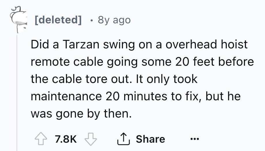 [deleted] g 8y ago Did a Tarzan swing on a overhead hoist remote cable going some 20 feet before the cable tore out. It only took maintenance 20 minutes to fix, but he was gone by then. 7.8K Share ... 