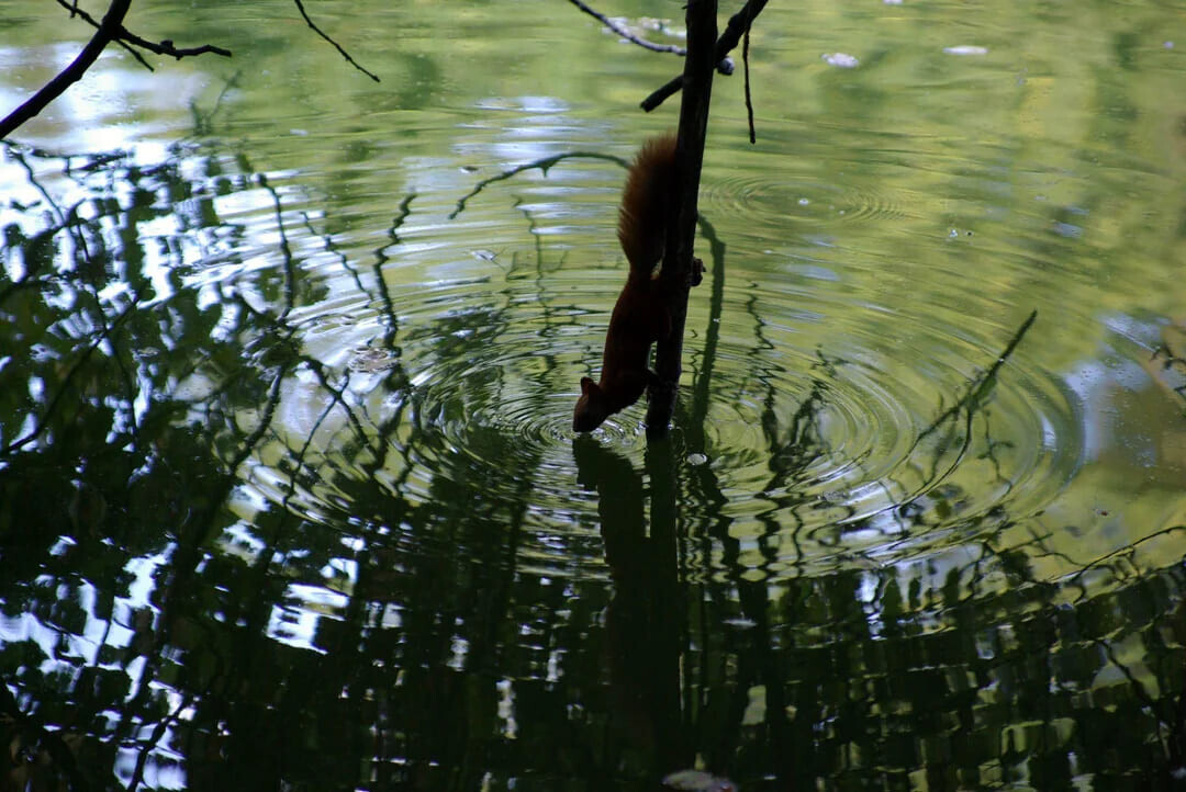 One-of-a-Kind Photos Not Everyone Has Come Across