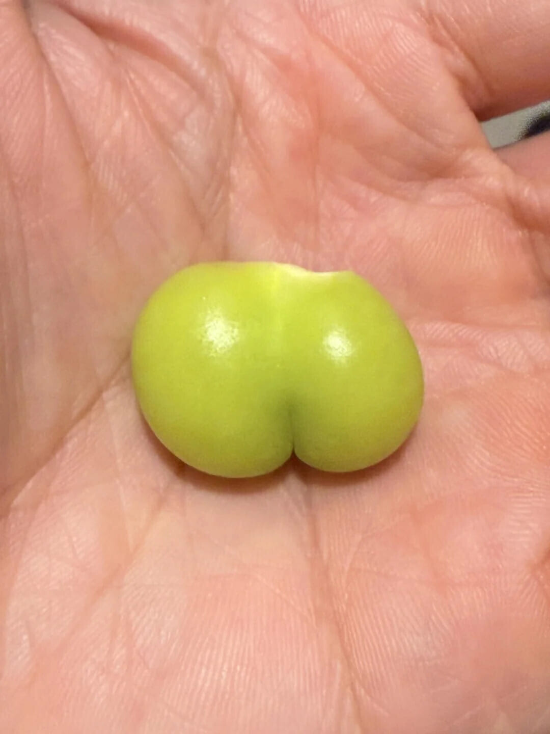 Photos That Look Stock Standard Until You Zoom In