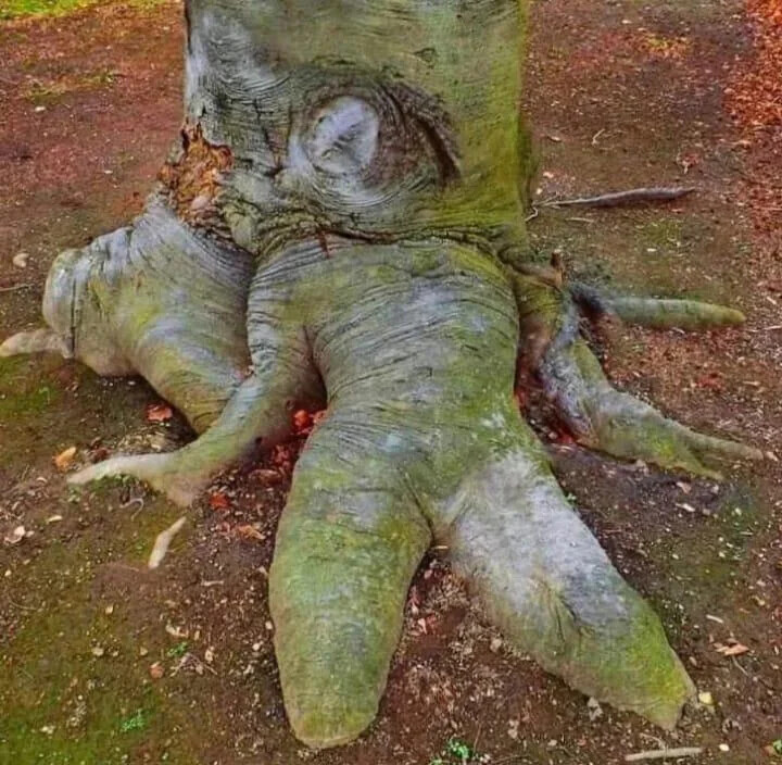 16 Photos That Are Just a Bit Concerning | Cracked.com