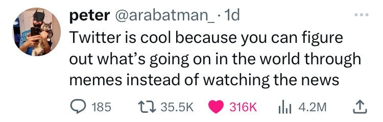 peter @arabatman_.1d ... Twitter is cool because you can figure out what's going on in the world through memes instead of watching the news 185 35.5K 316K 4.2M