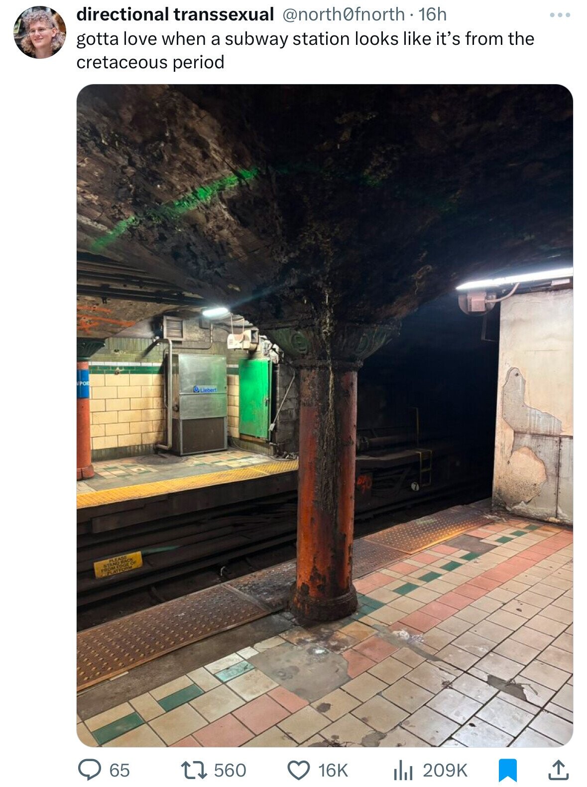 directional transsexual @north0fnorth. 16h gotta love when a subway station looks like it's from the cretaceous period POR Liebert PLEASE OF STAND FROM 65 560 16K 209K