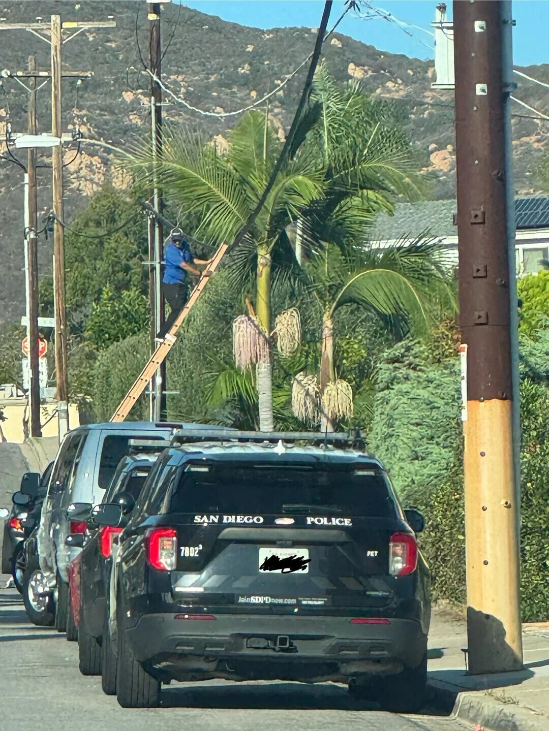 POLICE SAN DIEGO 7802 PET kannDDr'nnow.com