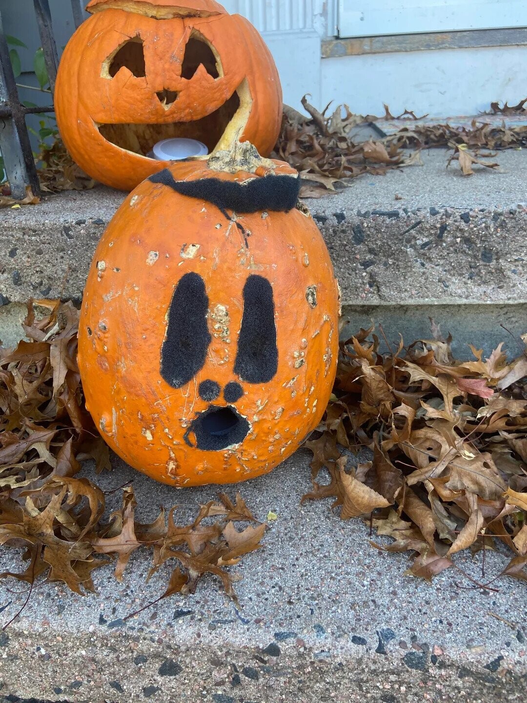 Pathetic Pumpkins That Have Lost the Will to Live