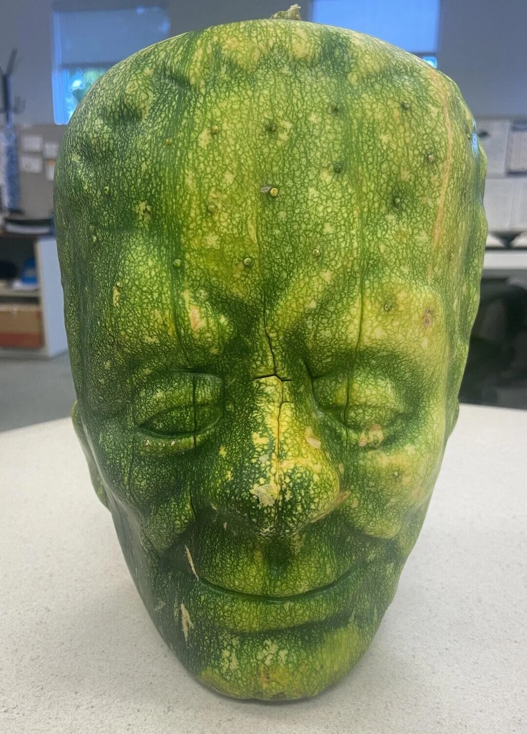 Pathetic Pumpkins That Have Lost the Will to Live