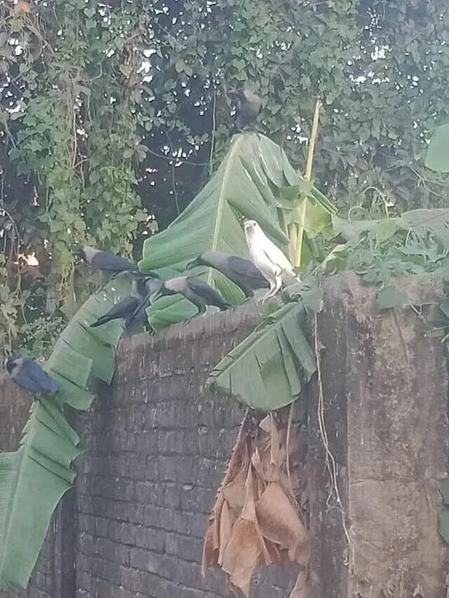 Photos That Look Stock Standard Until You Zoom In