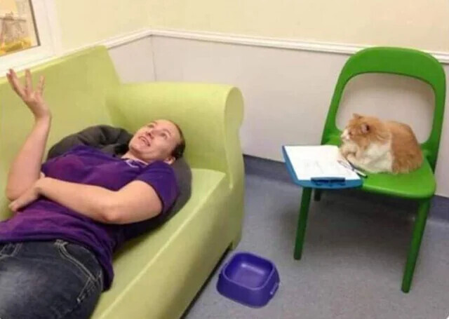 Photos Where We Don't Really Know What's Happening