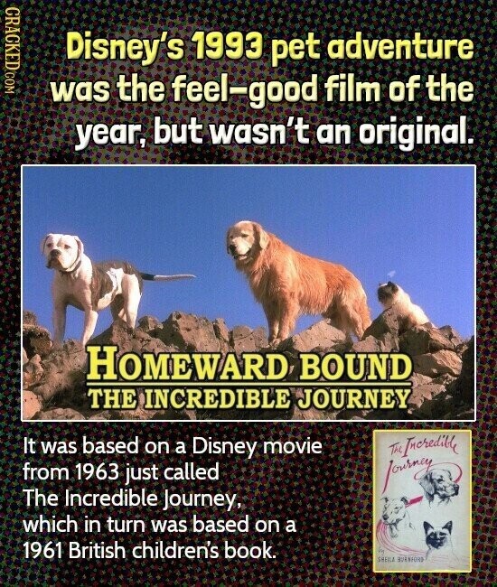 CRACKED COM Disney's 1993 pet adventure was the feel-good film of the year, but wasn't an original. HOMEWARD BOUND THE INCREDIBLE JOURNEY It was based on a Disney movie The Incredible from 1963 just called fourney The Incredible Journey, which in turn was based on a 1961 British children's book. in SAURA BURNFORD