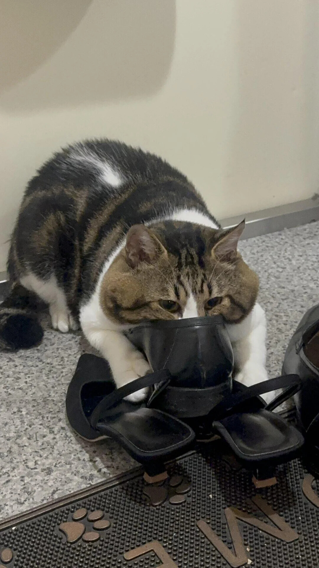 Photos Where We Don't Really Know What's Happening