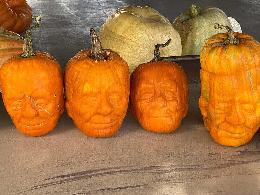 Pathetic Pumpkins That Have Lost the Will to Live