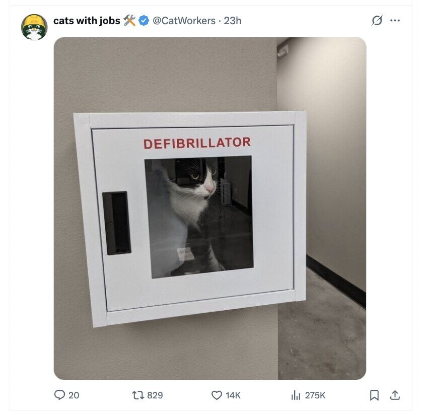 G ... cats with jobs @CatWorkers 23h DEFIBRILLATOR 20 829 14K 275K 
