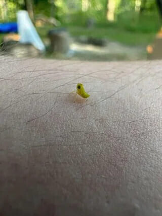 Photos That Look Stock Standard Until You Zoom In