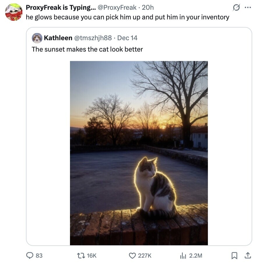 s ... ProxyFreak is Typing... @ProxyFreak.20h he glows because you can pick him up and put him in your inventory Kathleen @tmszhjh88.I Dec 14 The sunset makes the cat look better 83 16K 227K 2.2M