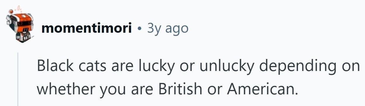momentimori . Зу ago Black cats are lucky or unlucky depending on whether you are British or American.