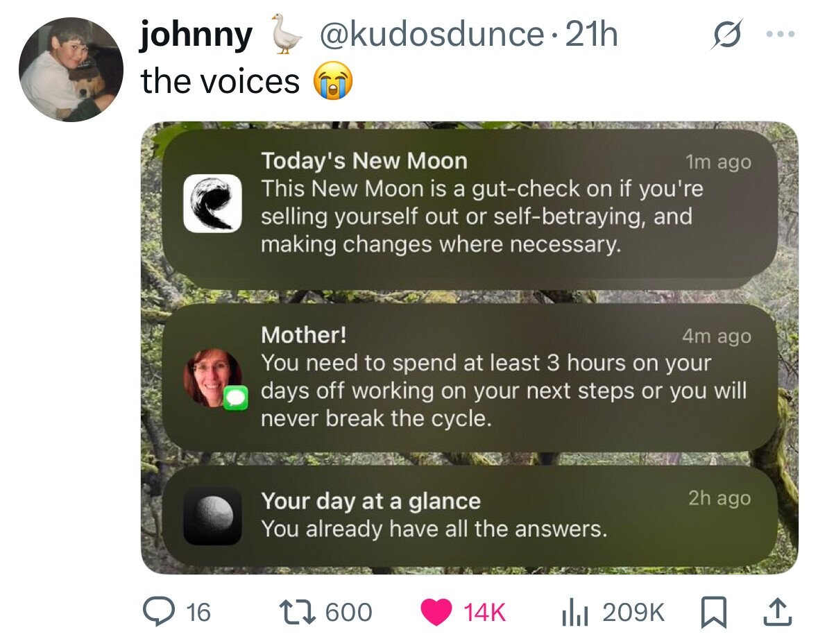 johnny @kudosdunce.21h ... the voices Today's New Moon 1m ago This New Moon is a gut-check on if you're selling yourself out or self-betraying, and making changes where necessary. Mother! 4m ago You need to spend at least 3 hours on your days off working on your next steps or you will never break the cycle. 2h ago Your day at a glance You already have all the answers. 16 600 14K 209K 