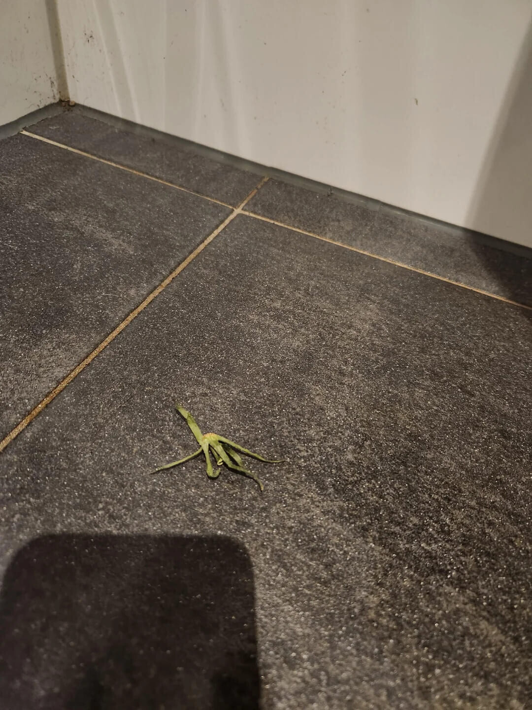 Photos That Look Stock Standard Until You Zoom In