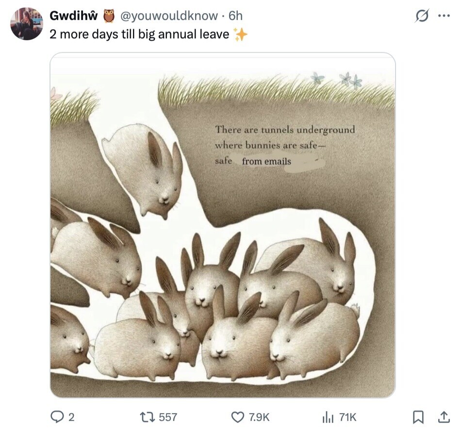 Gwdihw @youwouldknow. 6h G ... 2 more days till big annual leave There are tunnels underground where bunnies are safe- safe from emails 2 557 7.9K del 71K 