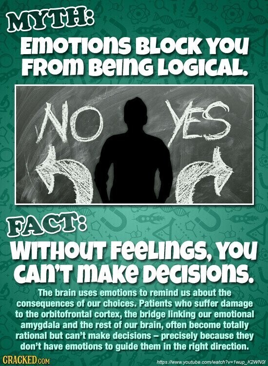MYTH: EMOTIONS BLOCK YOU FROM BEING LOGICAL. NO YES FACT: WITHOUT FeeLInGS, YOU CAN'T mAKe Decisions. The brain uses emotions to remind us about the consequences of our choices. Patients who suffer damage to the orbitofrontal cortex, the bridge linking our emotional amygdala and the rest of our brain, often become totally rational but can't make decisions - precisely because they don't have emotions to guide them in the right direction. CRACKED.COM https://www.youtube.com/watch?v=1wup_K2WNO