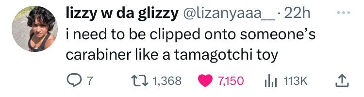 lizzy W da glizzy @lizanyaaa__22h ... i need to be clipped onto someone's carabiner like a tamagotchi toy 7 1,368 7,150 del 113K