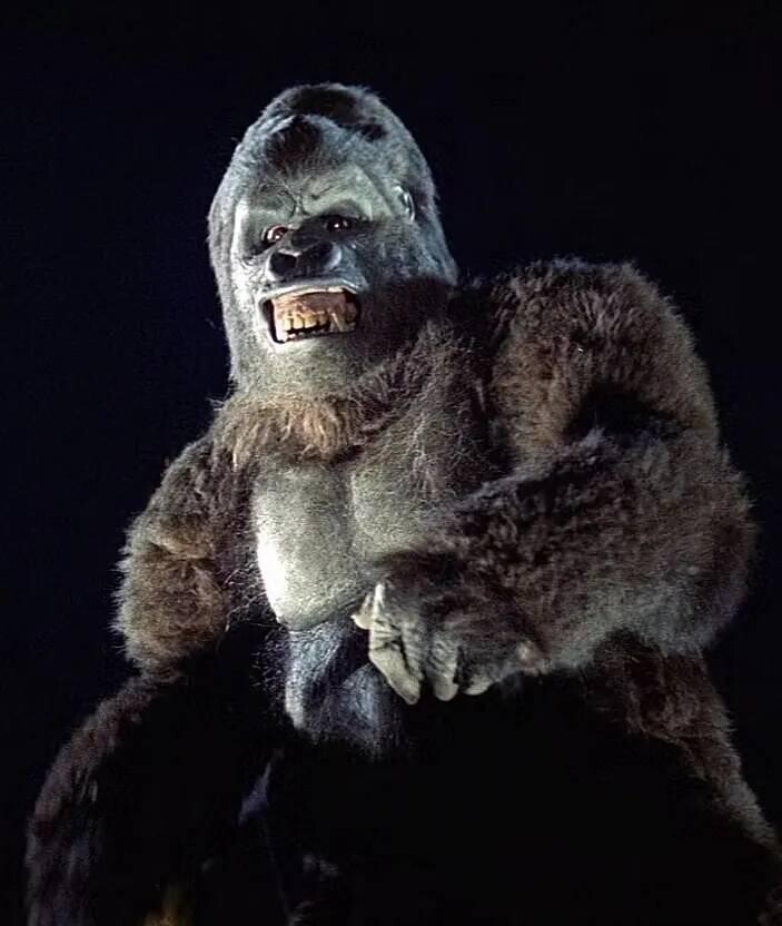 This Is What Pop Culture Looked Like In 1976