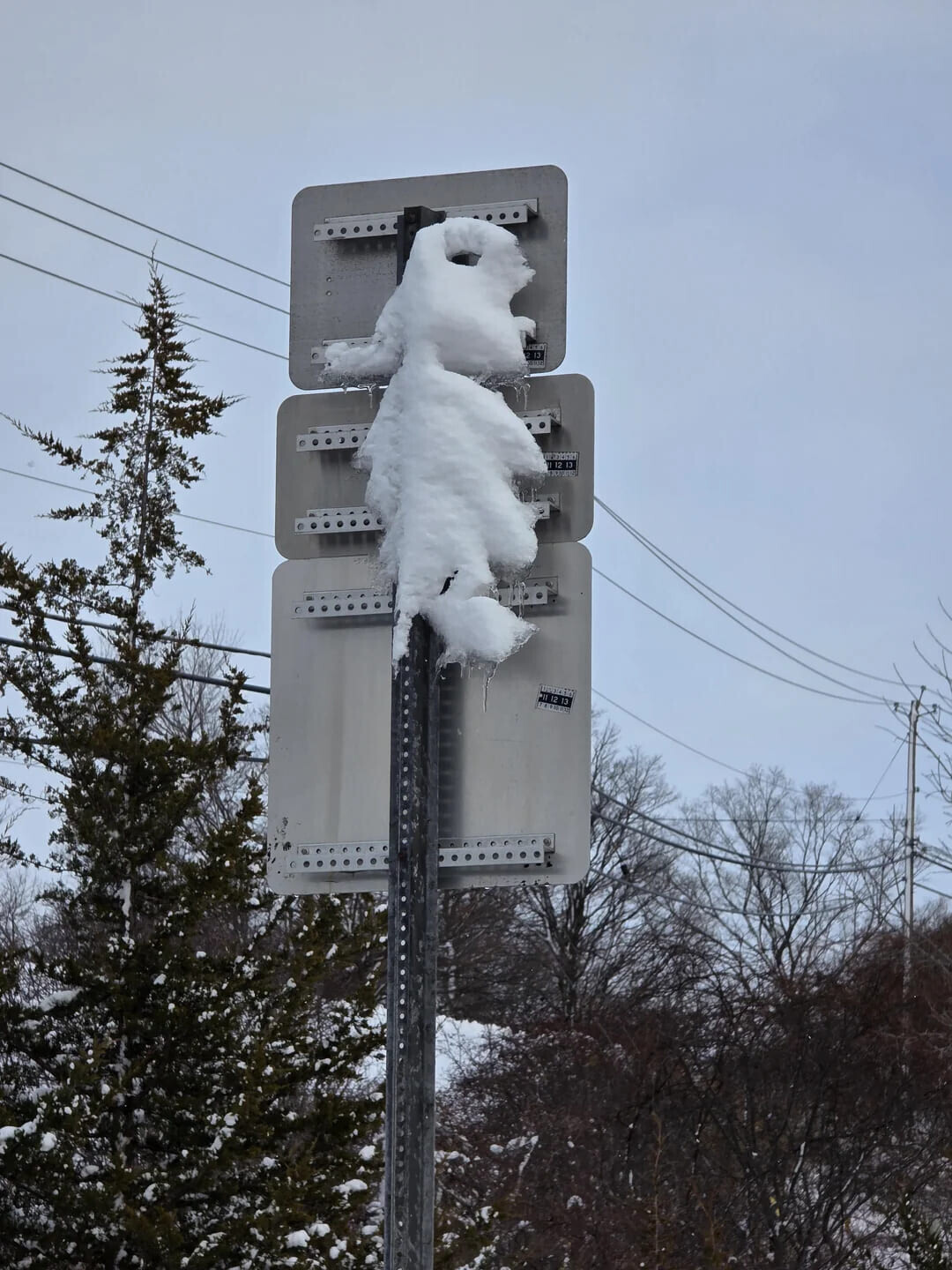 Photos That Look Stock Standard Until You Zoom In