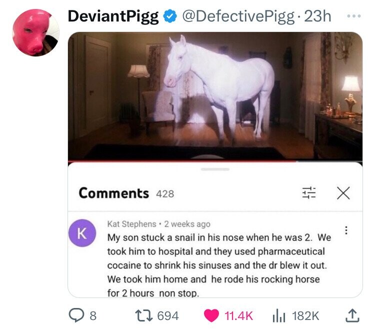 DeviantPigg @DefectivePigg.23h ... Comments 428 X Kat Stephens 2 weeks ago ... к My son stuck a snail in his nose when he was 2. We took him to hospital and they used pharmaceutical cocaine to shrink his sinuses and the dr blew it out. We took him home and he rode his rocking horse for 2 hours non stop. 8 694 11.4K 182K 