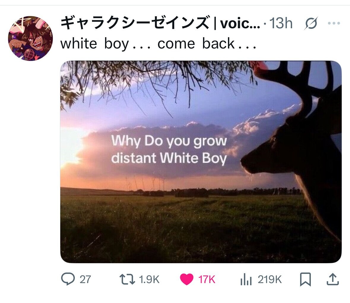 - voic... ...13h s ... white boy... come back... Why Do you grow distant White Boy 27 1.9K 17K 219K 