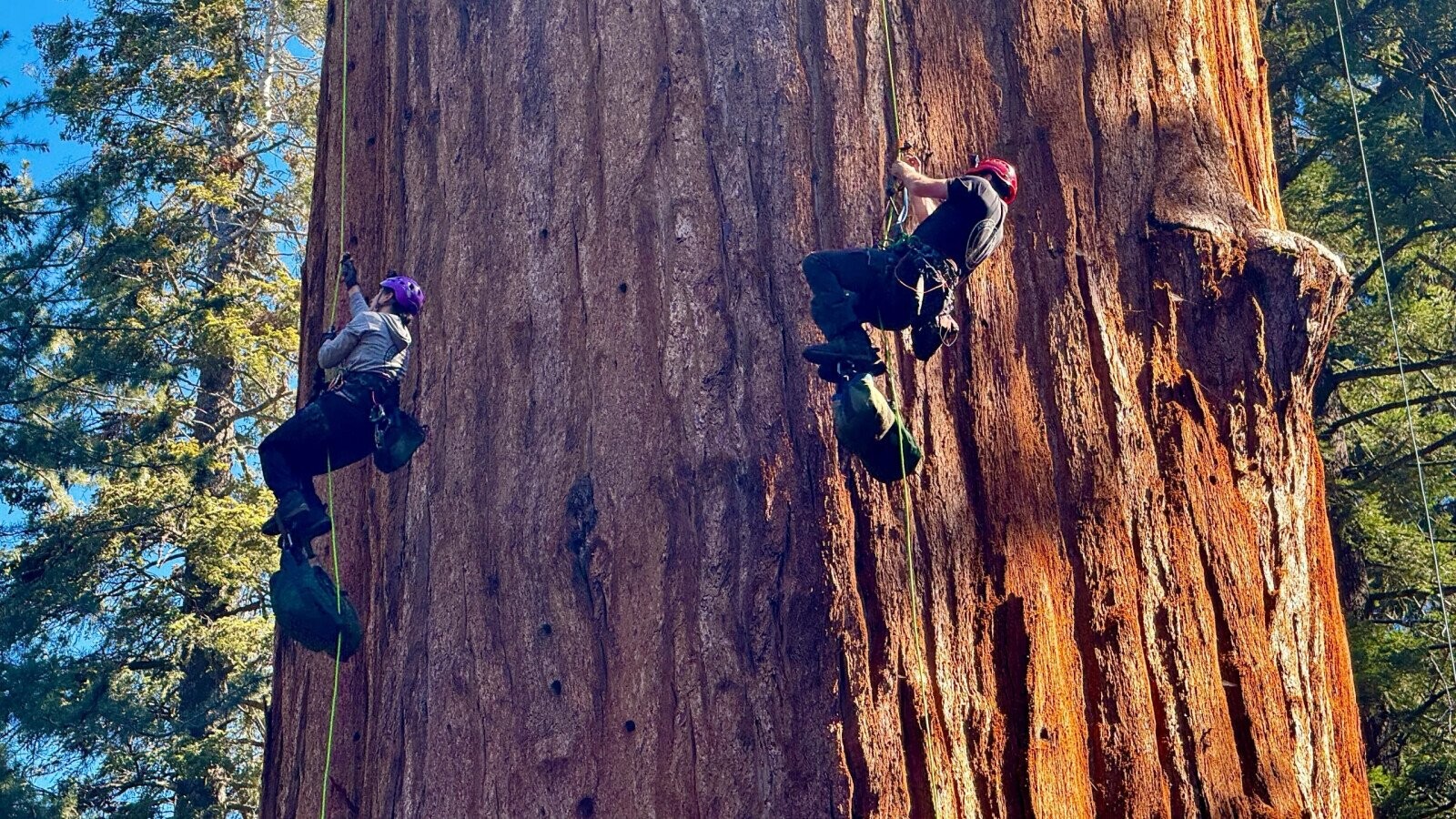 Big And Small Things With Humans For Scale