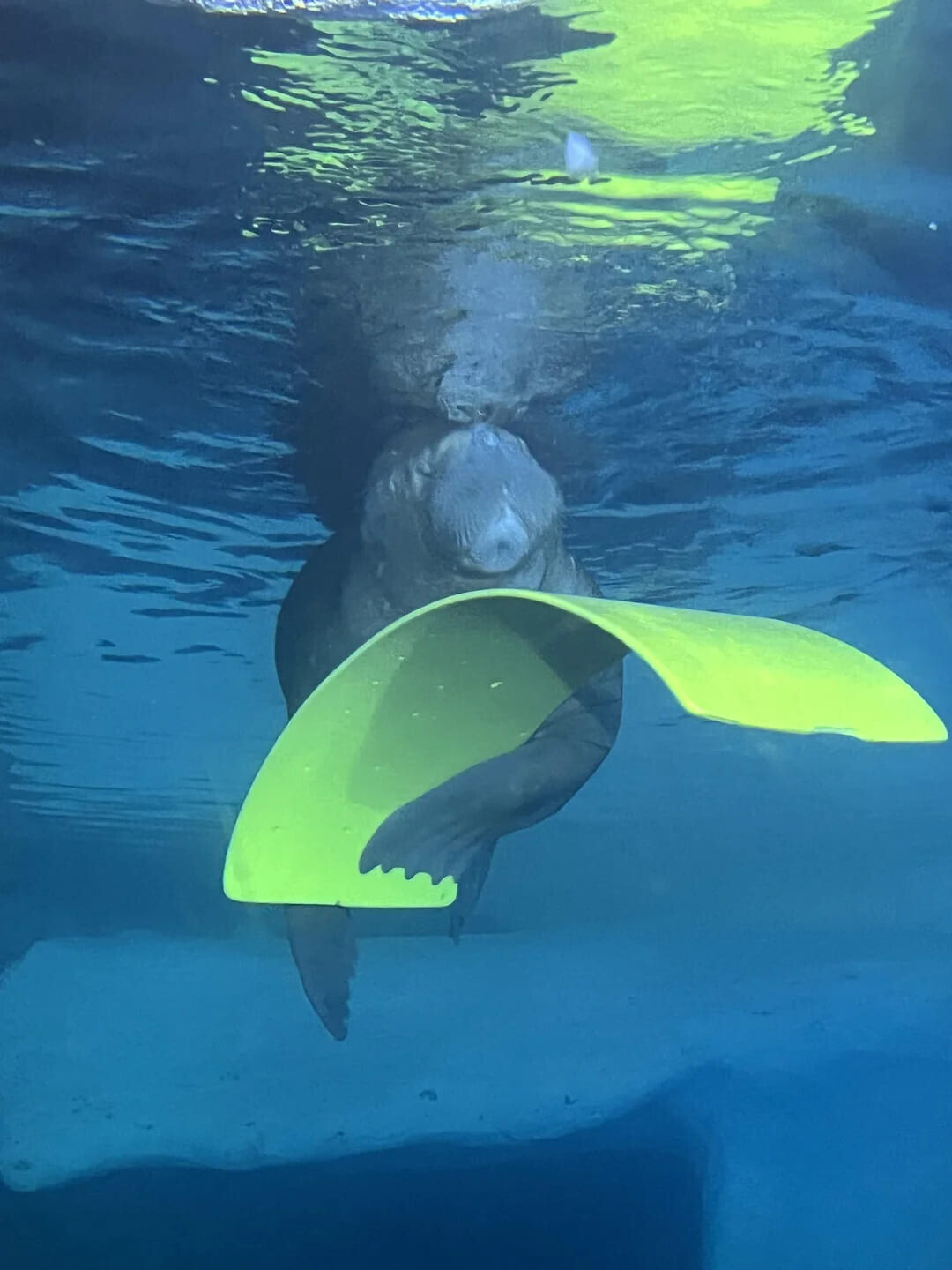 One-of-a-Kind Photos Not Everyone Has Come Across