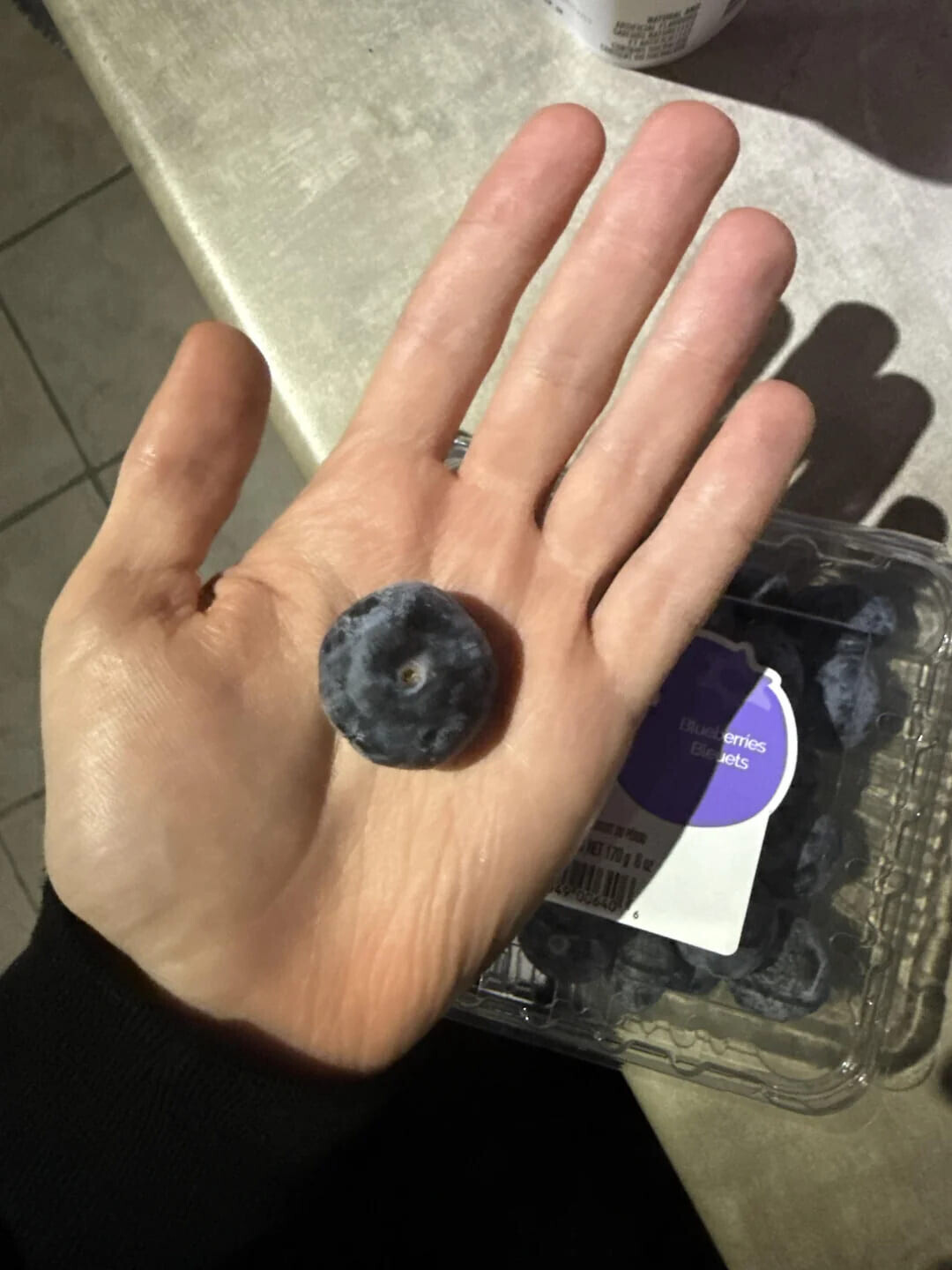 AND - un H BAT EN - - Blueberries Bleuets - XII P NET 170 0 8 R 00640 6