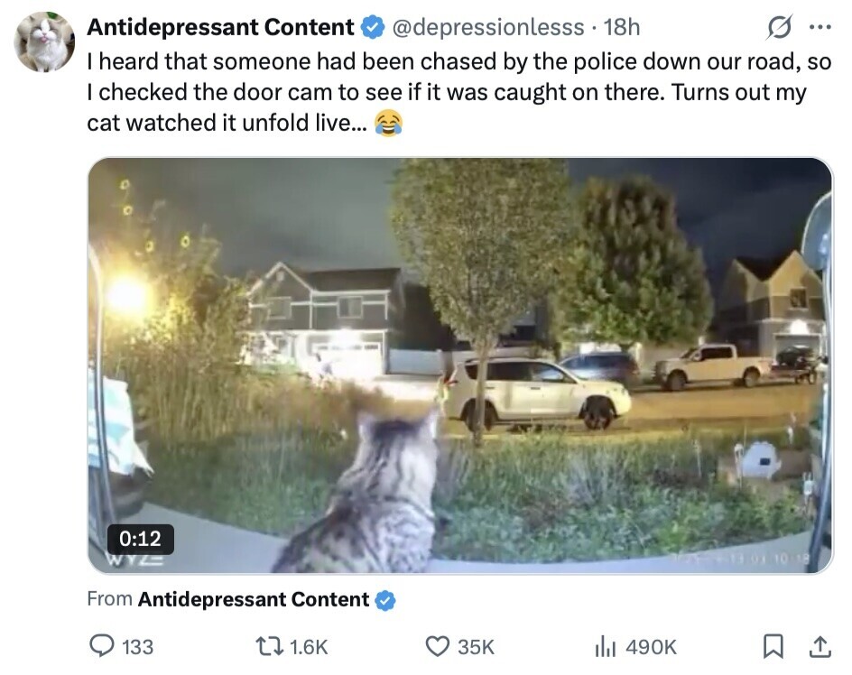 Antidepressant Content @depressionlesss. 18h ... I heard that someone had been chased by the police down our road, so I checked the door cam to see if it was caught on there. Turns out my cat watched it unfold live... 0:12 WYL OF 10 18 From Antidepressant Content 133 1.6K 35K del 490K 