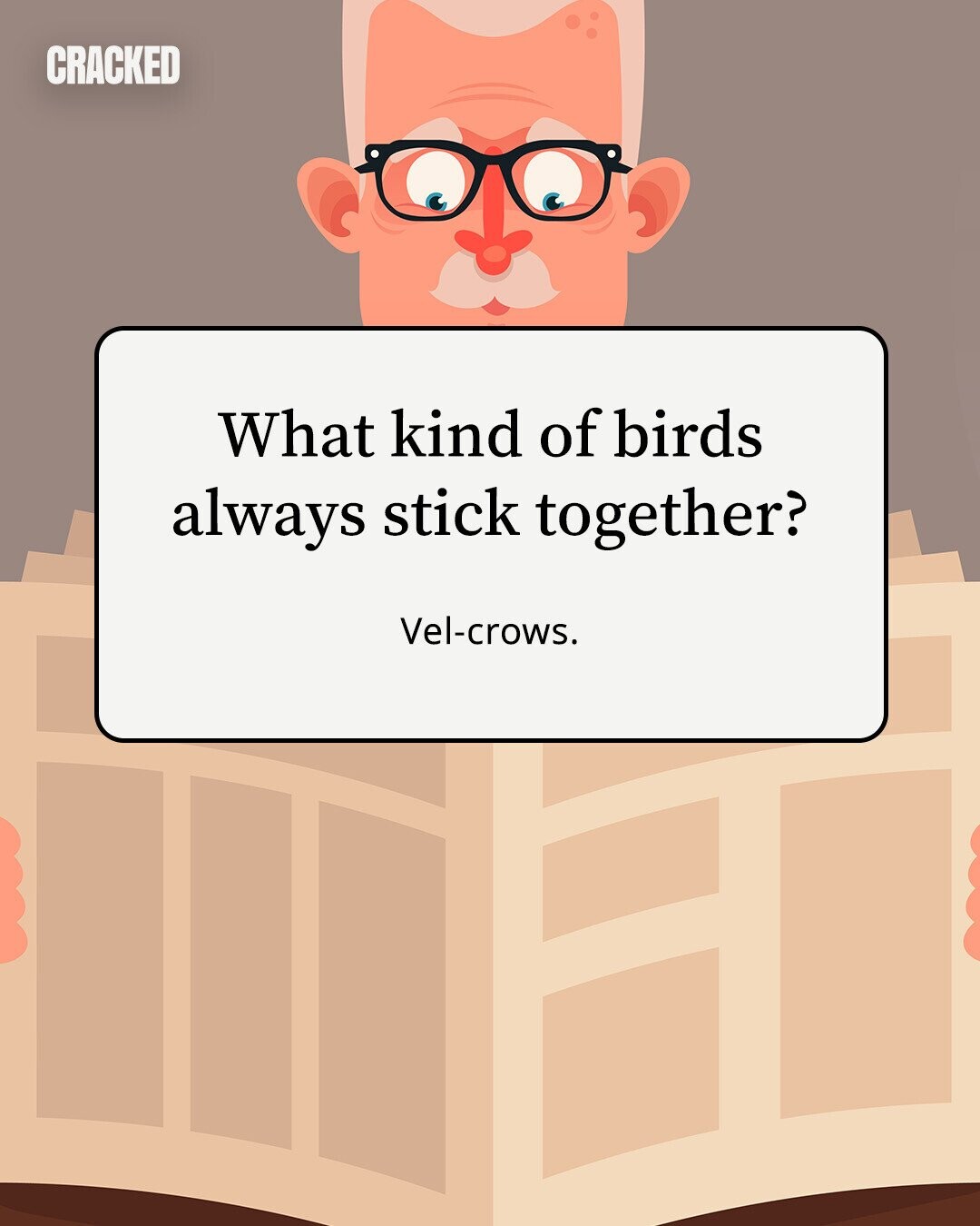 CRACKED What kind of birds always stick together? Vel-crows.