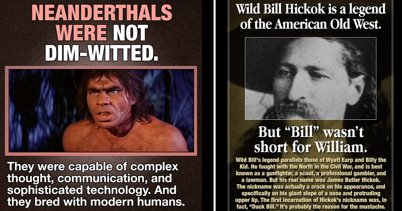 31 Common Misconceptions We Have About the World | Cracked.com