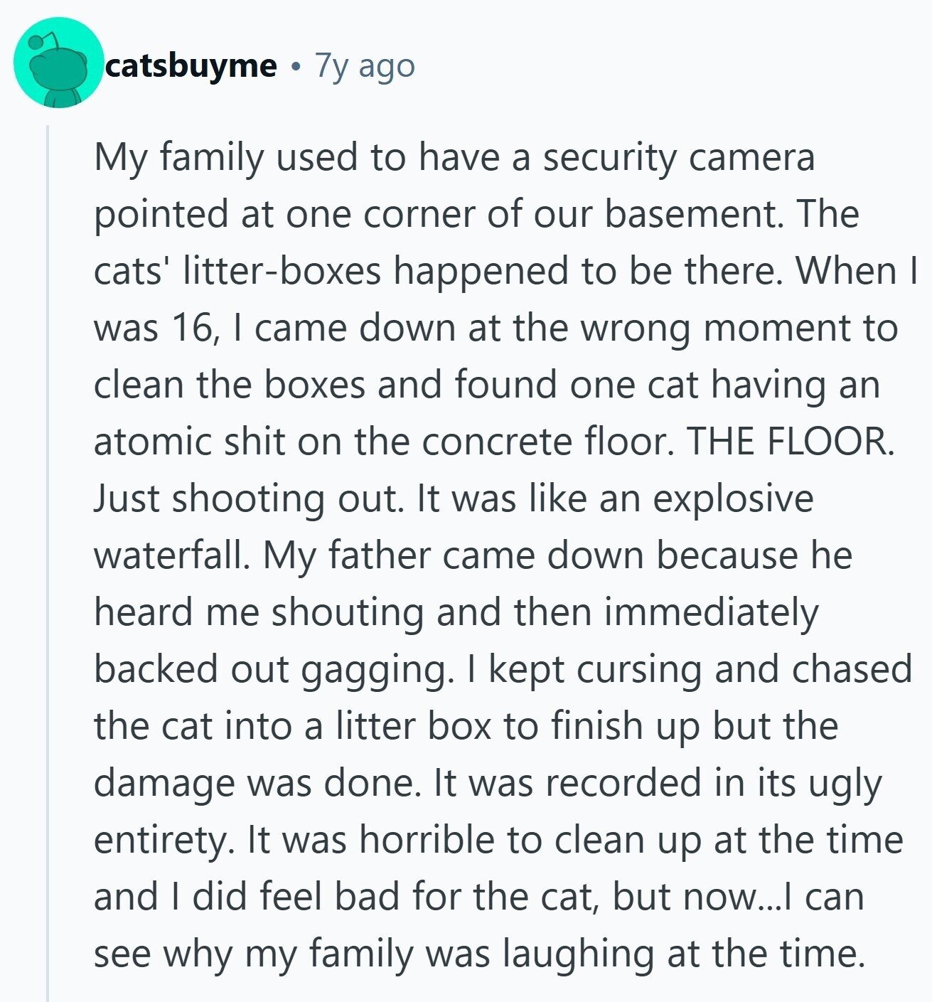 catsbuyme 7y ago My family used to have a security camera pointed at one corner of our basement. The cats' litter-boxes happened to be there. When I was 16, I came down at the wrong moment to clean the boxes and found one cat having an atomic shit on the concrete floor. THE FLOOR. Just shooting out. It was like an explosive waterfall. My father came down because he heard me shouting and then immediately backed out gagging. I kept cursing and chased the cat into a litter box to finish up but the damage was done. It was recorded