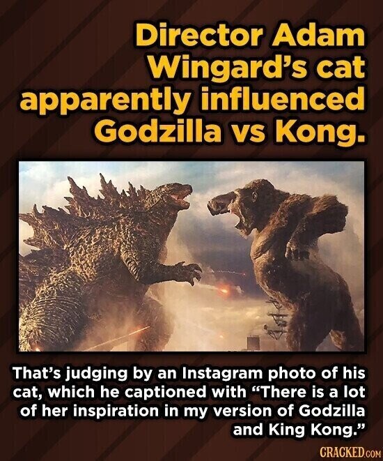 Director Adam Wingard's cat apparently influenced Godzilla vs Kong. That's judging by an Instagram photo of his cat, which he captioned with There is a lot of her inspiration in my version of Godzilla and King Kong. CRACKED.COM