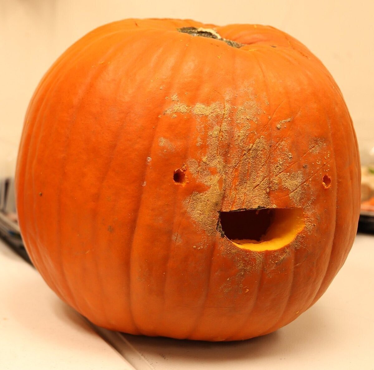 Pathetic Pumpkins That Have Lost the Will to Live