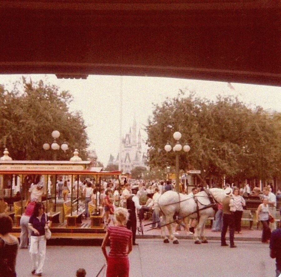 Photos Where 1977 Just Undeniably Rules