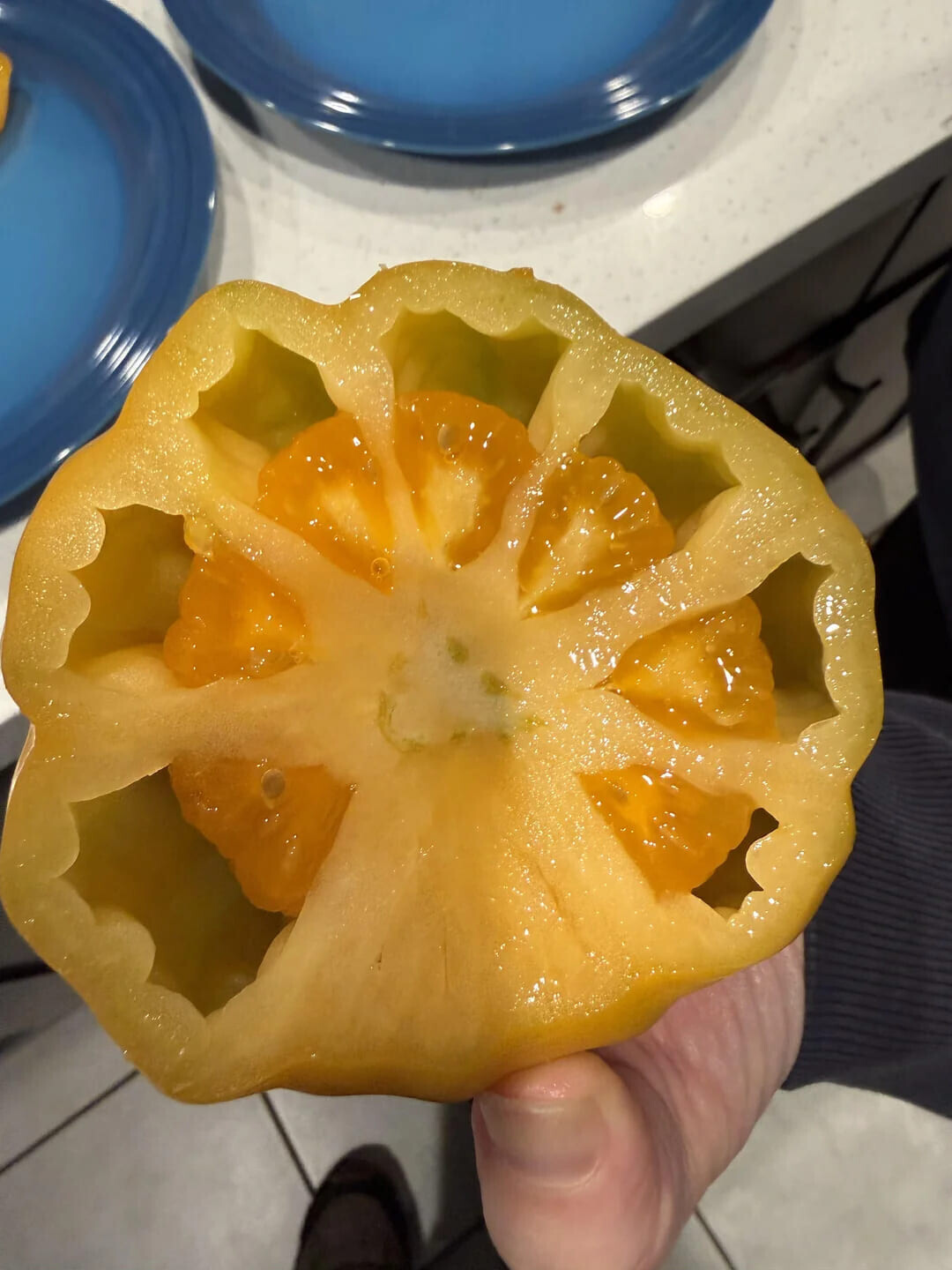 Photos That Look Stock Standard Until You Zoom In