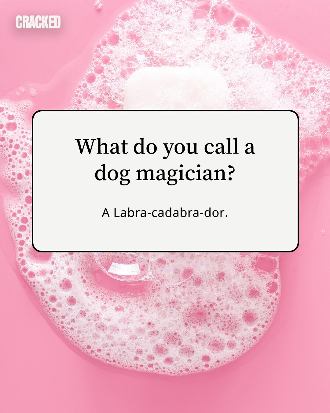 CRACKED What do you call a dog magician? A Labra-cadabra-dor. 