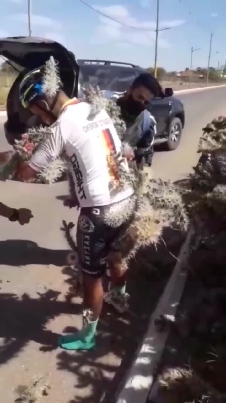 ОМЕРОМ TUR DAGIHT