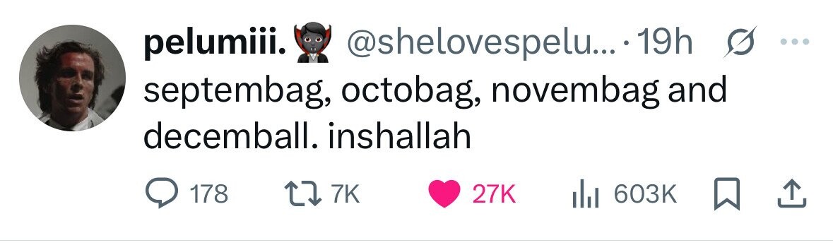 pelumiii. @shelovespelu... 19h s ... septembag, octobag, novembag and decemball. inshallah 178 7K 27K 603K 