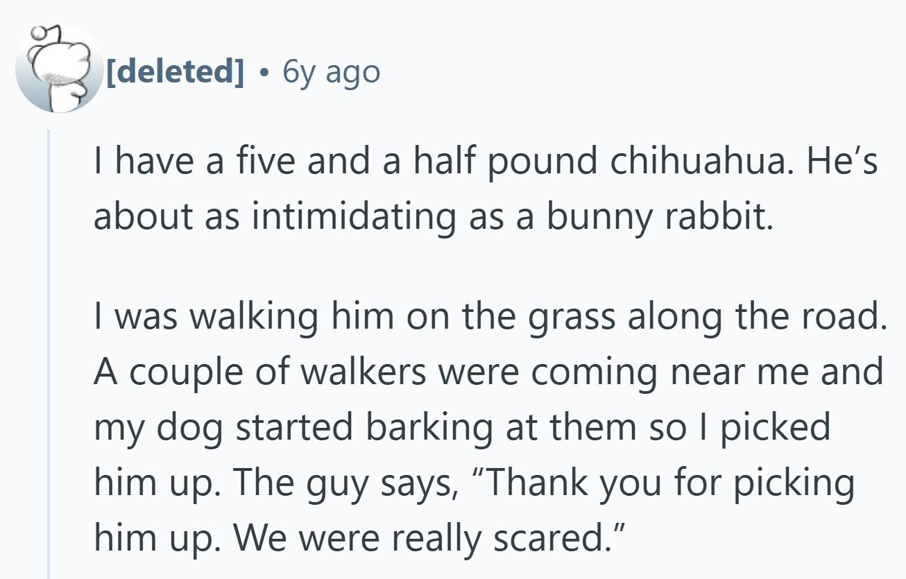 6y ago | have a five and a half pound chihuahua. He's about as intimidating as a bunny rabbit. I was walking him on the grass along the road. A couple of walkers were coming near me and my dog started barking at them so I picked him up. The guy says, Thank you for picking him up. We were really scared.