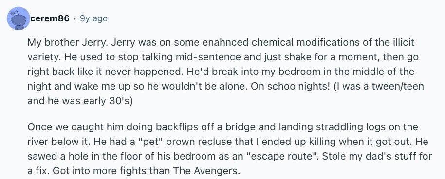 cerem86 9y ago My brother Jerry. Jerry was on some enahnced chemical modifications of the illicit variety. Не used to stop talking mid-sentence and just shake for a moment, then go right back like it never happened. He'd break into my bedroom in the middle of the night and wake me up so he wouldn't be alone. On schoolnights! (I was a tween/teen and he was early 30's) Once we caught him doing backflips off a bridge and landing straddling logs on the river below it. Не had a pet brown recluse that I ended up killing when it got