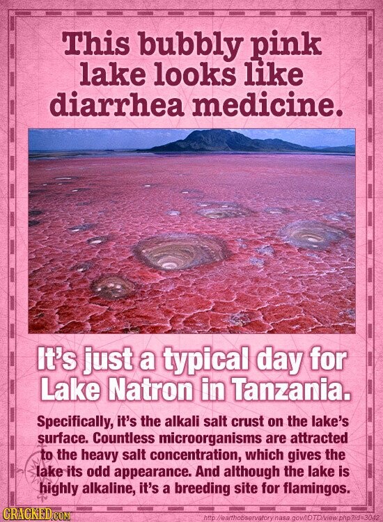 This bubbly pink lake looks like diarrhea medicine. It's just a typical day for Lake Natron in Tanzania. Specifically, it's the alkali salt crust on the lake's surface. Countless microorganisms are attracted to the heavy salt concentration, which gives the lake its odd appearance. And although the lake is highly alkaline, it's a breeding site for flamingos. GRACKED.COM http://earthobservatory nasa gov/IOTD/view php?id=3042