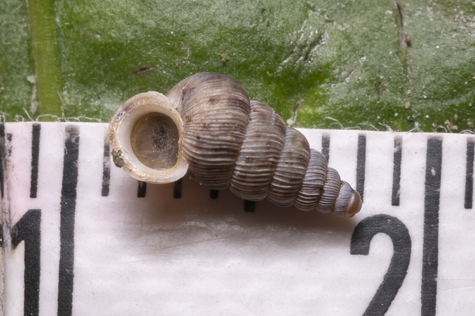 Big And Small Things With Humans For Scale