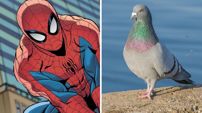 30 Facts About Animals That Prove They’re Superior to Humans