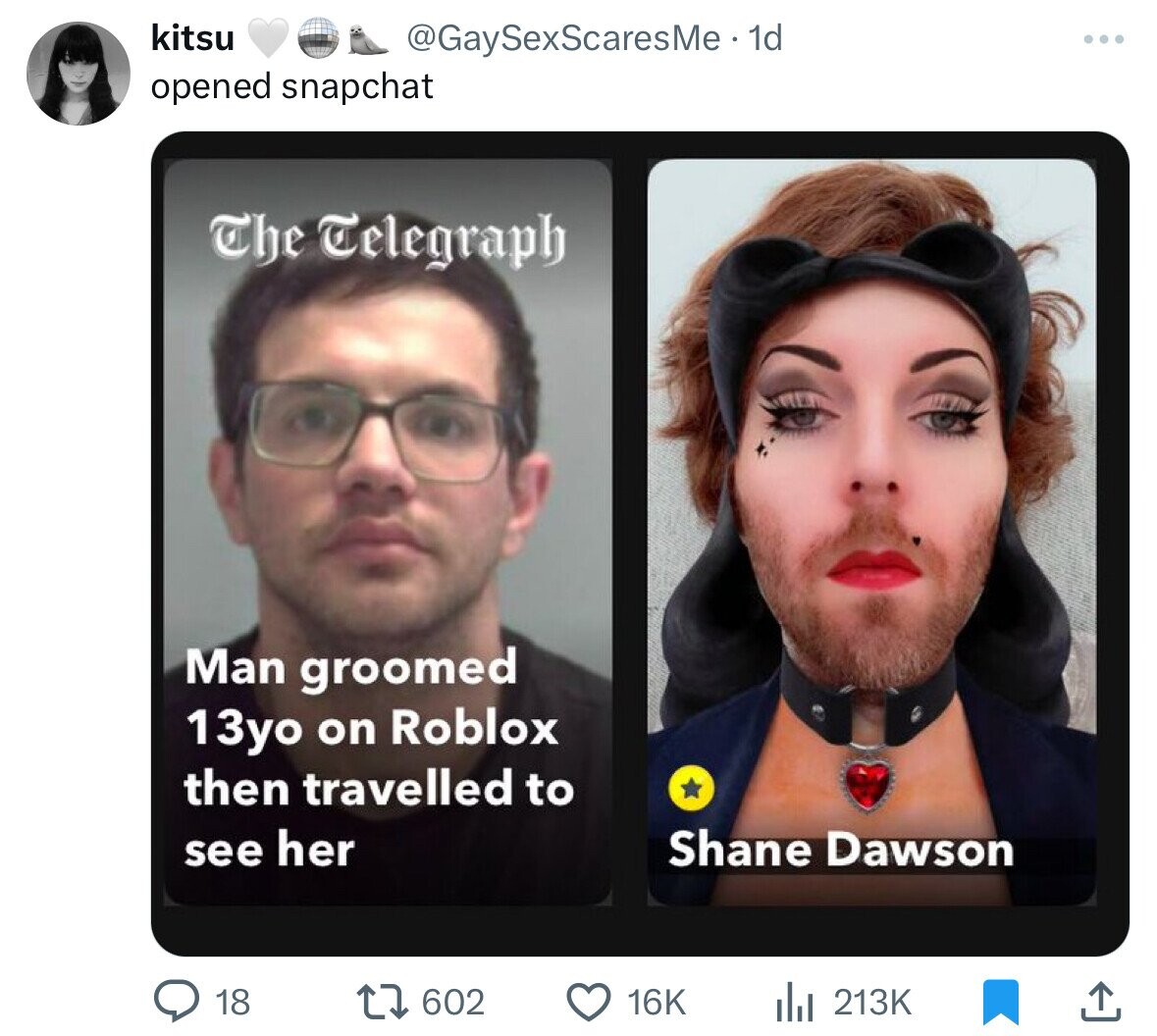 kitsu @GaySexScaresMe - 1d opened snapchat The Telegraph Man groomed 13yo on Roblox then travelled to see her Shane Dawson 18 602 16K 213K
