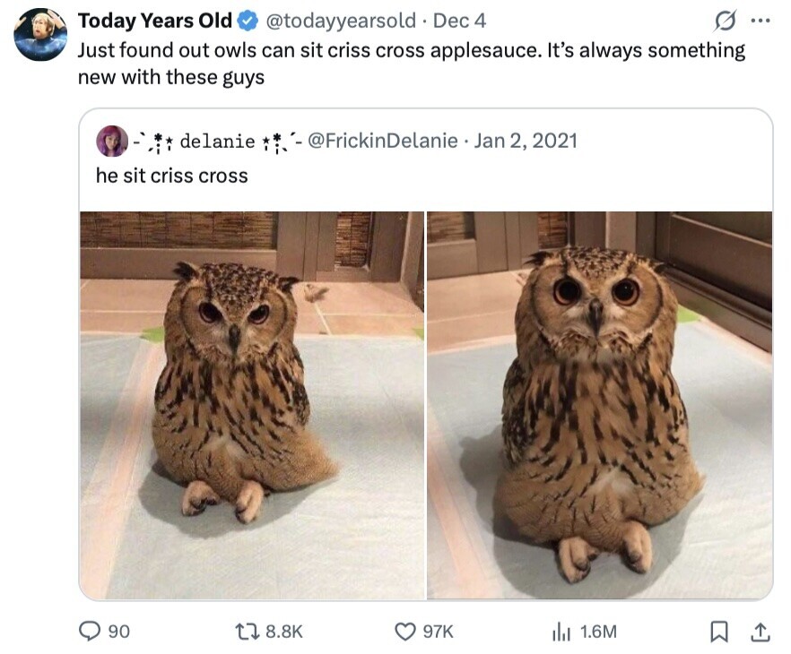 Today Years Old @todayyearsold Dec 4 S ... Just found out owls can sit criss cross applesauce. It's always something new with these guys delanie @FrickinDelanie Jan 2, 2021 he sit criss cross 90 8.8K 97K 1.6M