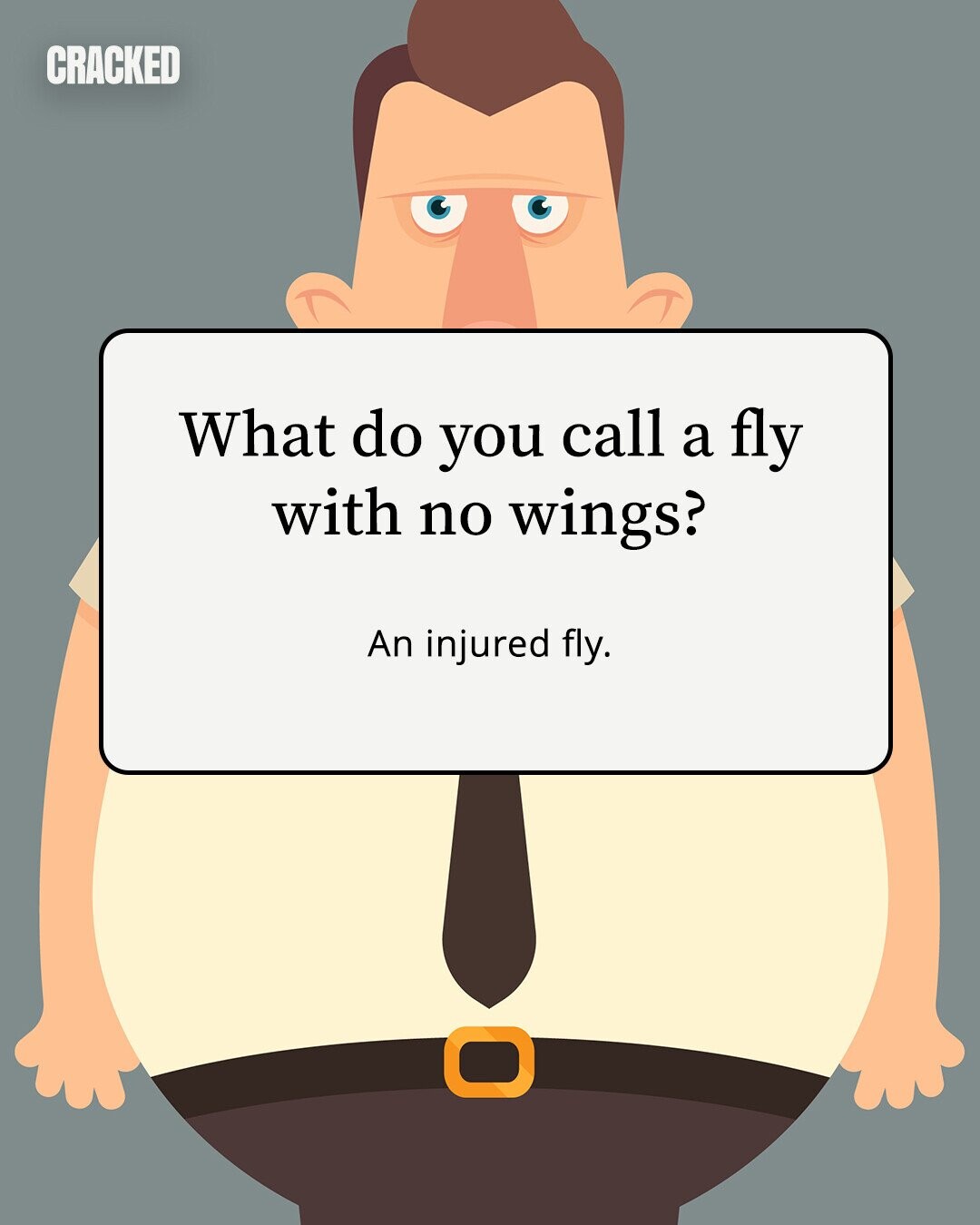 CRACKED What do you call a fly with no wings? An injured fly. 